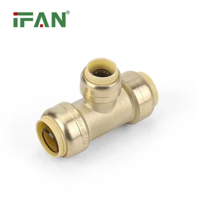 Özel Köpekbalığı Isırığı Parçaları