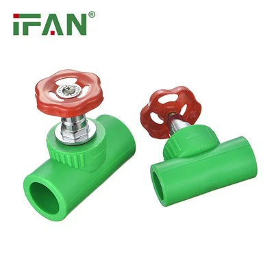 IFAN PPR Gizli Vana